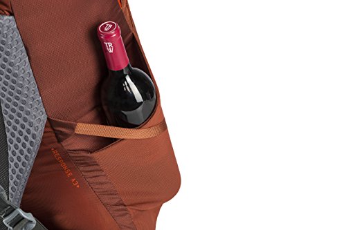Men's Baltoro 75 Backpack T11383