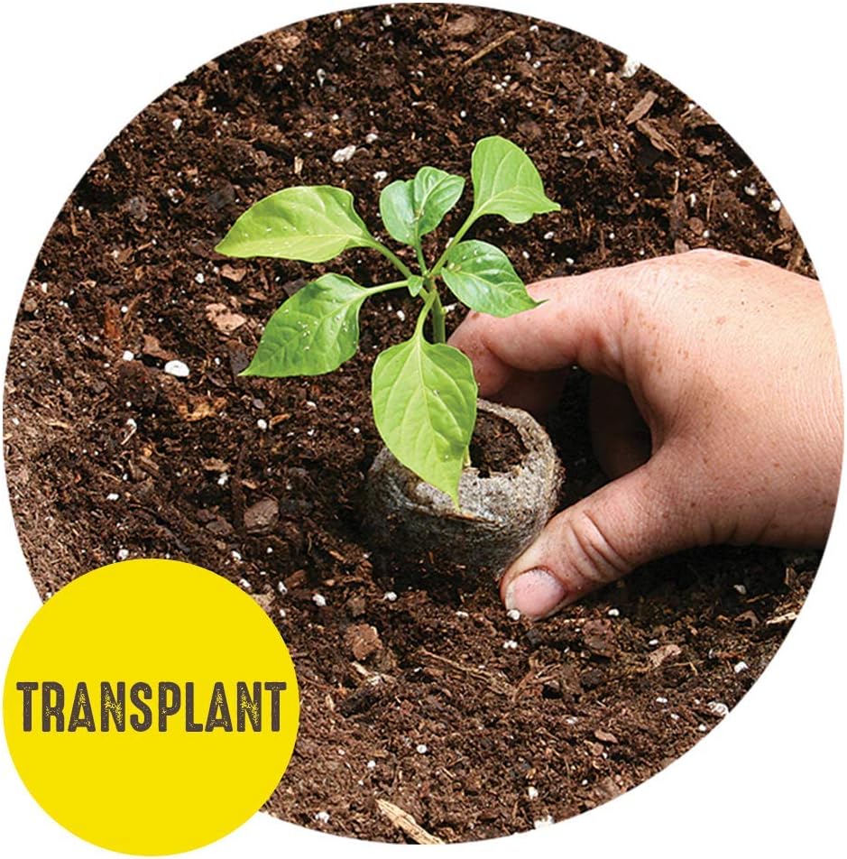 50mm Seed Starting Greenhouse Kit with 16 Biodegradable Expanding Peat Pellets I305196