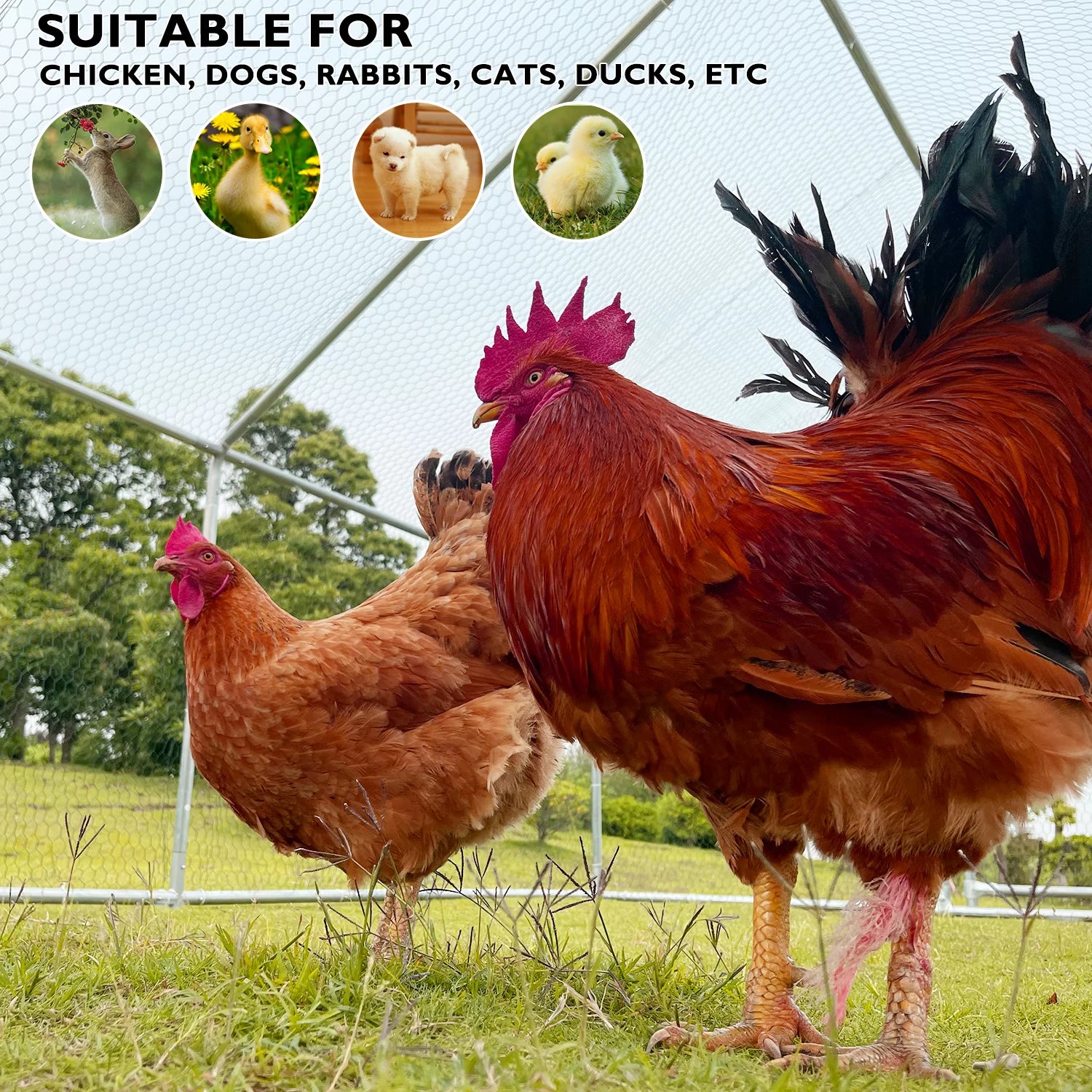 Large Chicken Run Coop 10x26ft Metal Hen House Poultry Cage M5459