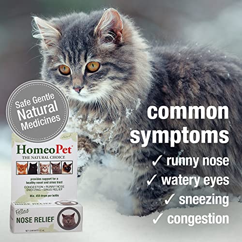Natural Nasal and Sinus Medicine for Cats, 15 Milliliters F697