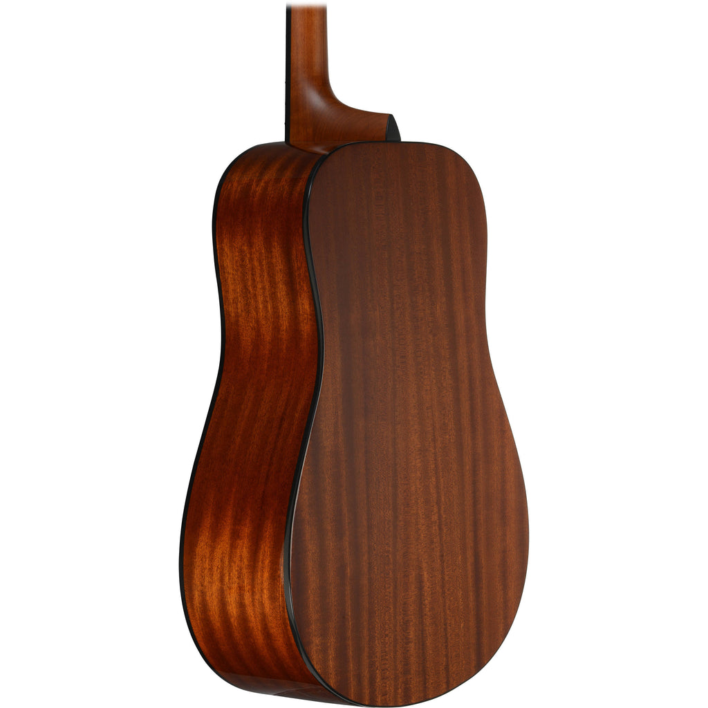 Acoustic Guitar D296