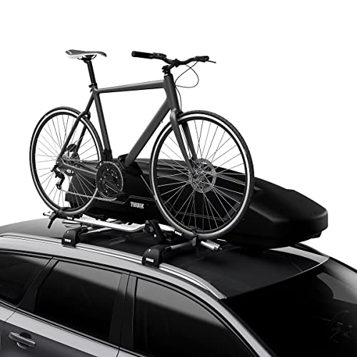 Thule Rooftop Cargo Box D253822