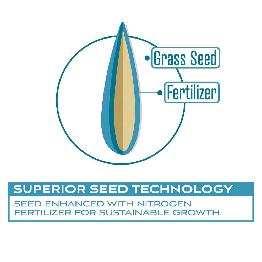 Perennial Ryegrass Grass Seed Blend 50 lb X6513