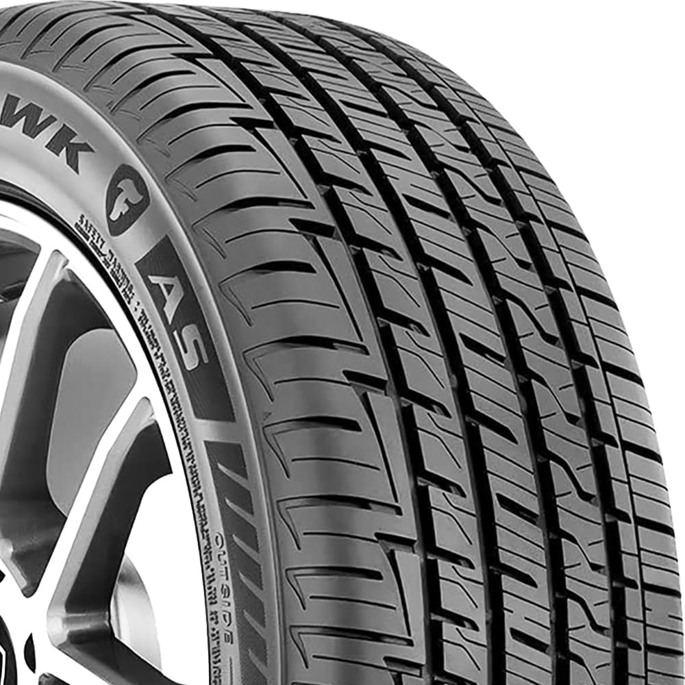 205/50R16 87 V All Season Performance Tire N10666
