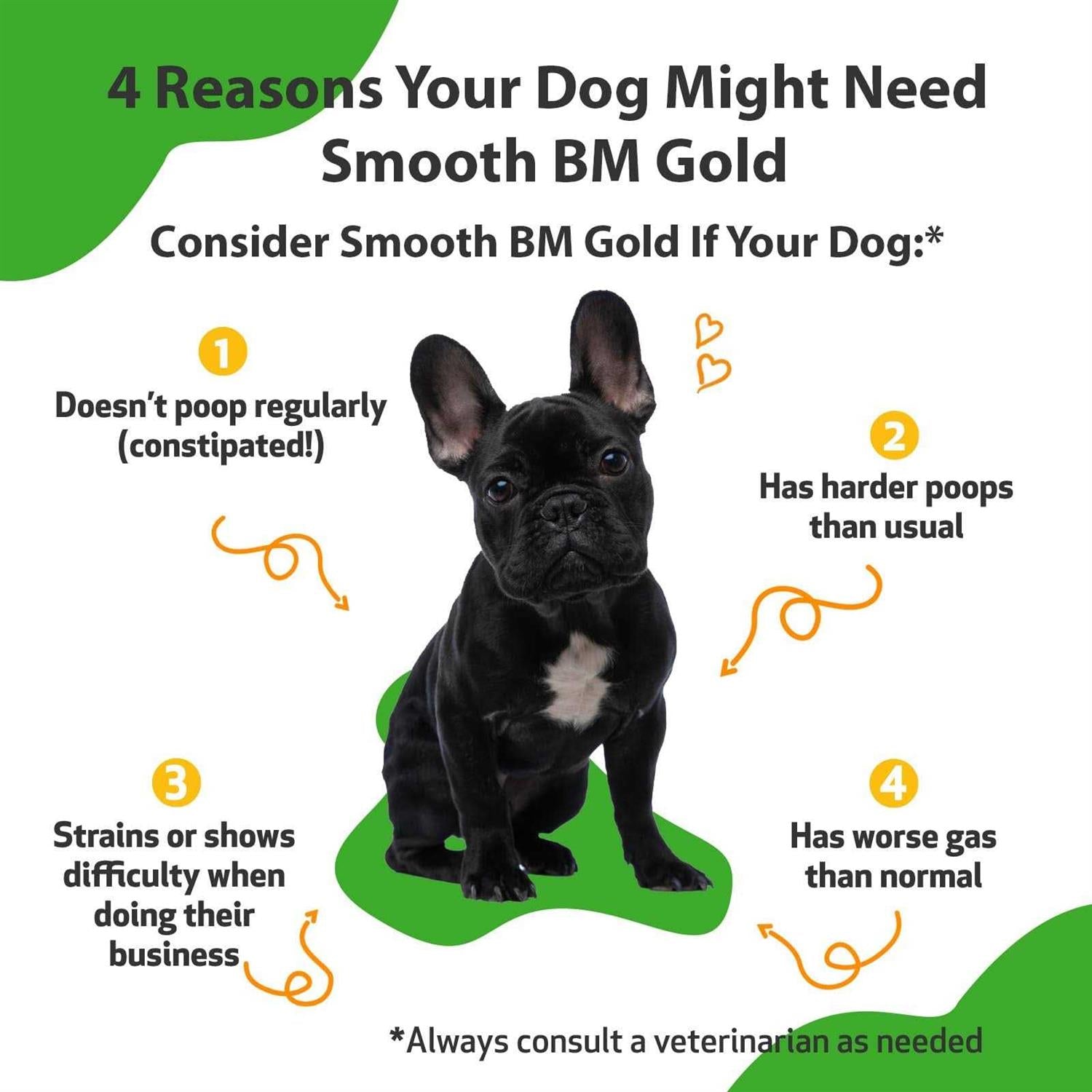 Smooth BM Gold Pet Supplies T665736