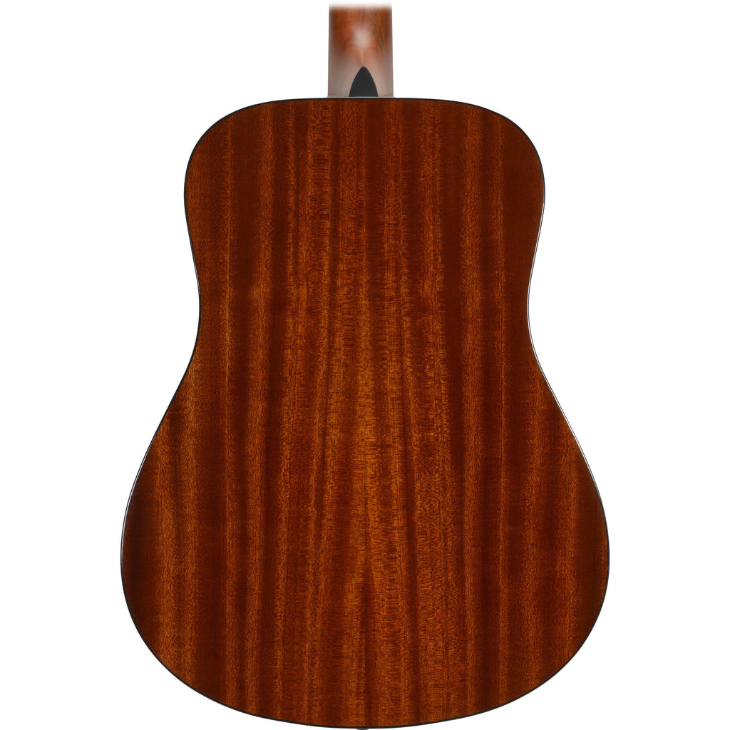 Acoustic Guitar D296