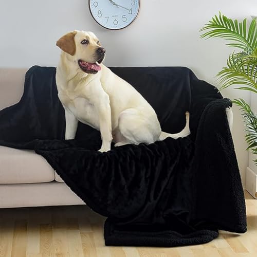 Double-Sided Fluffy Soft Waterproof Fleece Blanket C87098