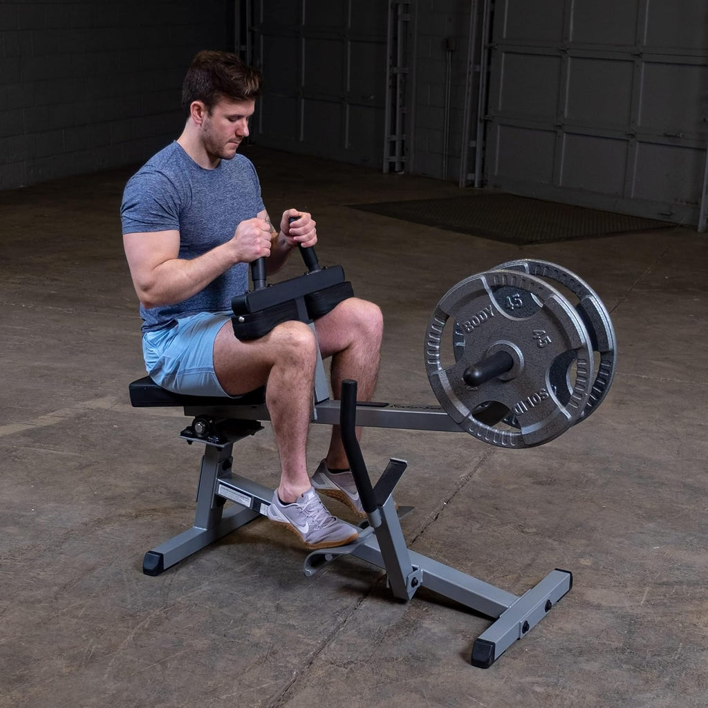 Seated Calf Raise Exercise Machine A211