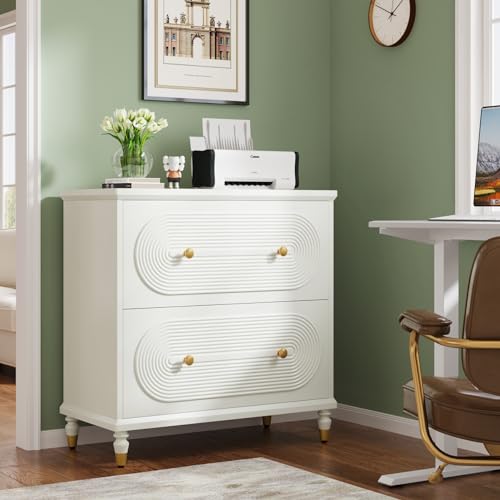Gray 2-Drawer Wooden File Cabinet O546