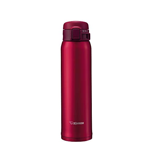 20 oz Stainless Steel Vacuum Insulated Mug Z1643