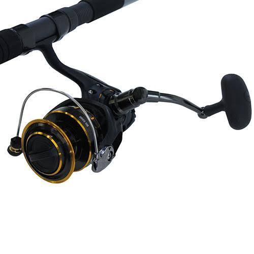 Saltwater Spinning Combo Q5862