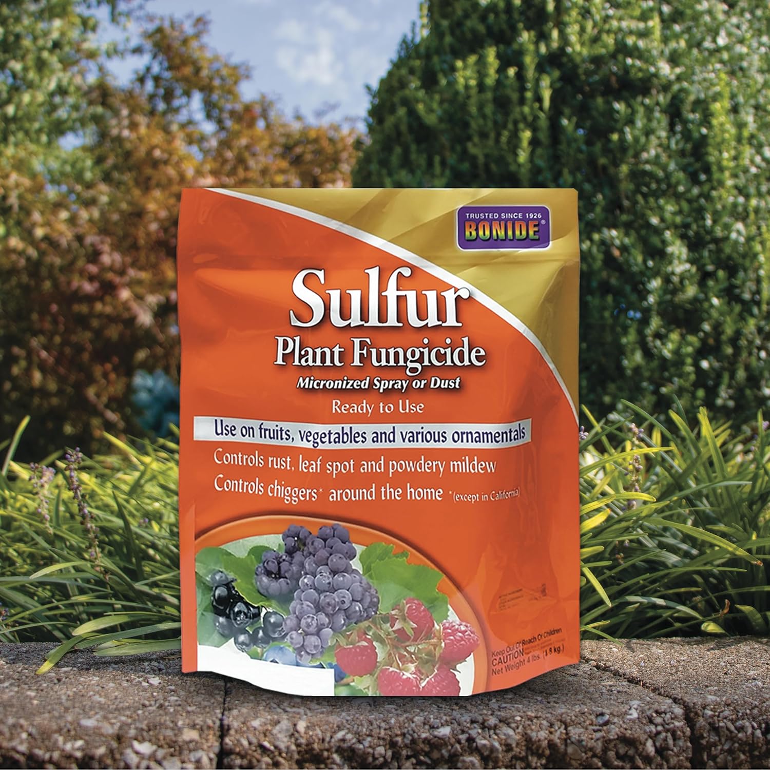 4 lb. Sulfur Plant Fungicide I718