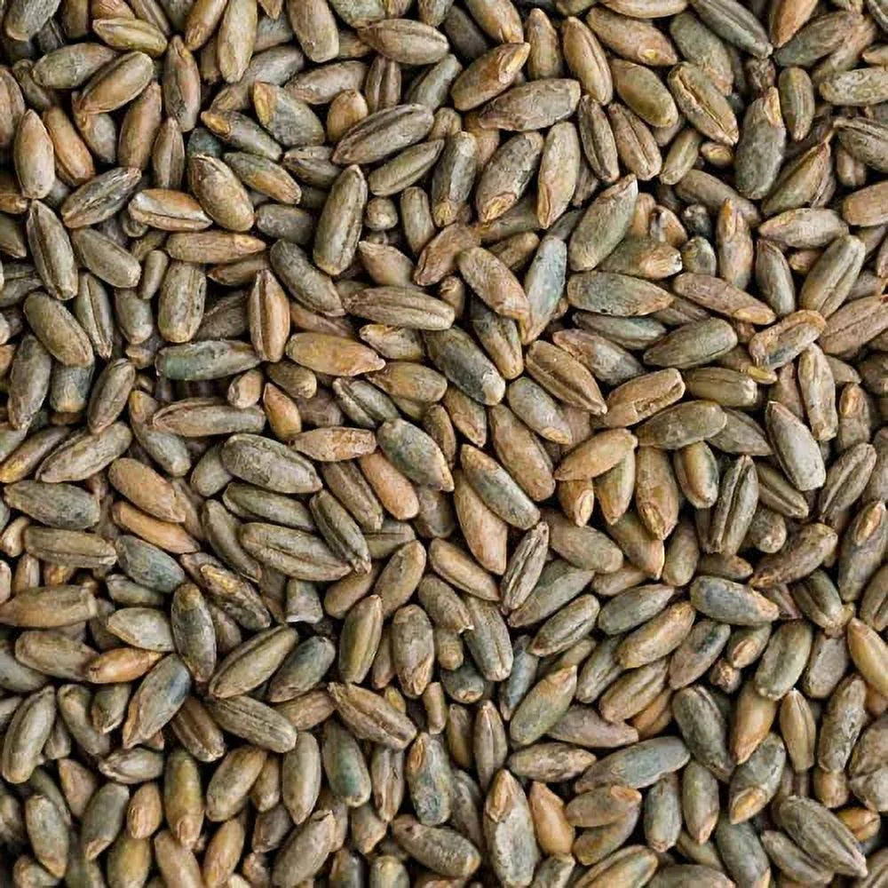 25 LB Bag Of Rye Berries M295