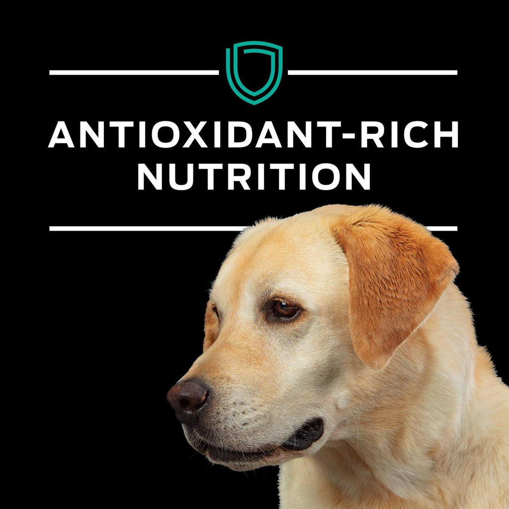 EN Gastroenteric Formula Dry Dog Food S637