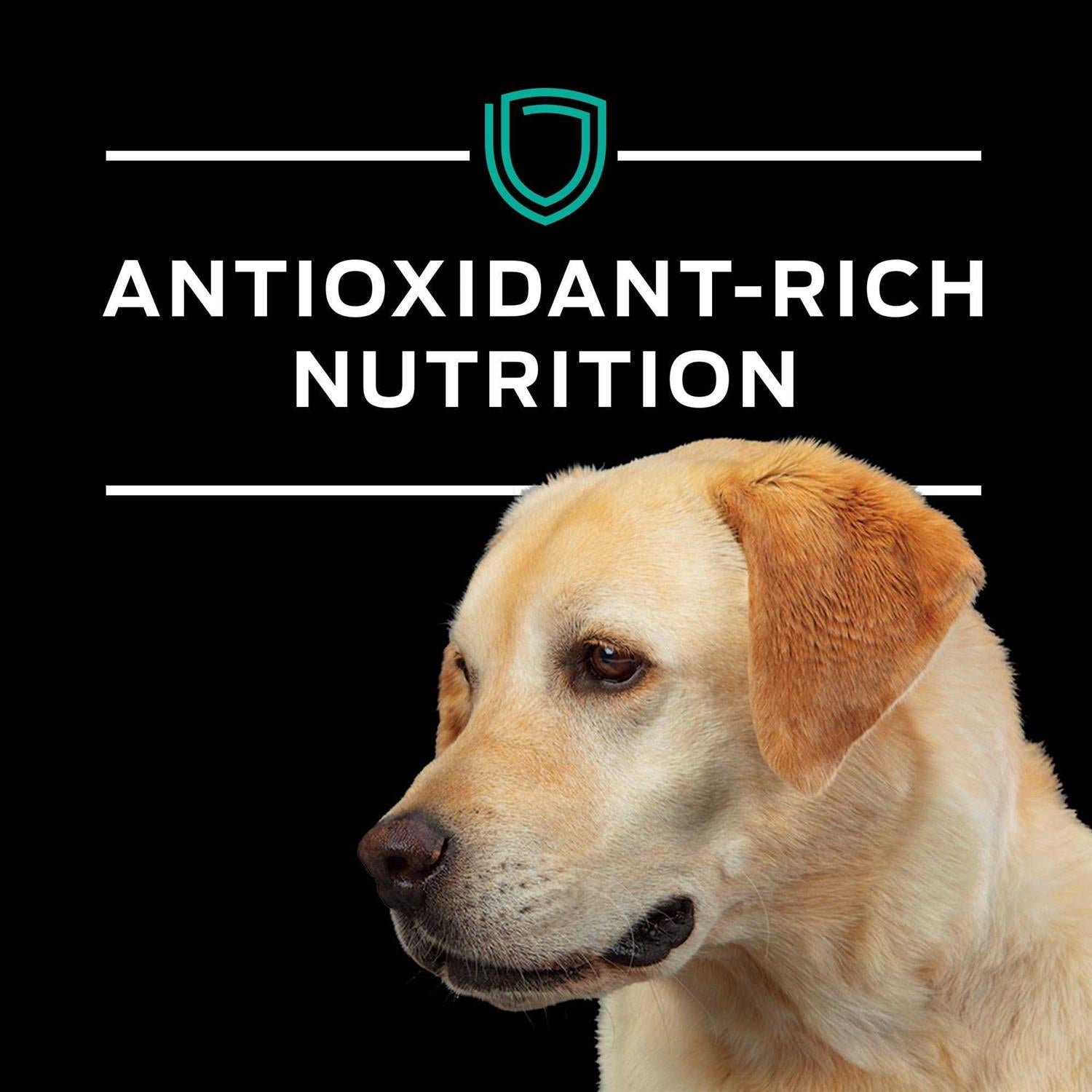 EN Gastroenteric Formula Dry Dog Food S637