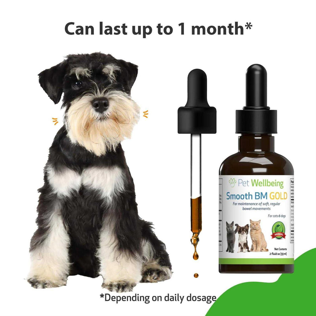 Smooth BM Gold Pet Supplies T665736