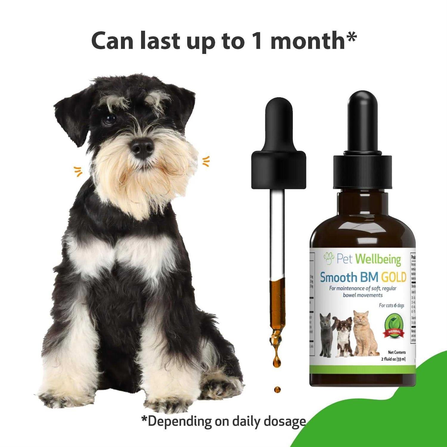 Smooth BM Gold Pet Supplies T665736