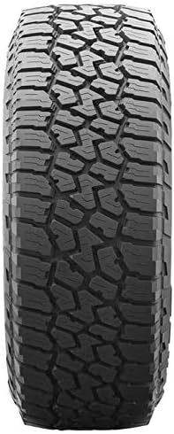 245/65R17 111T All Season Radial Tire N41944