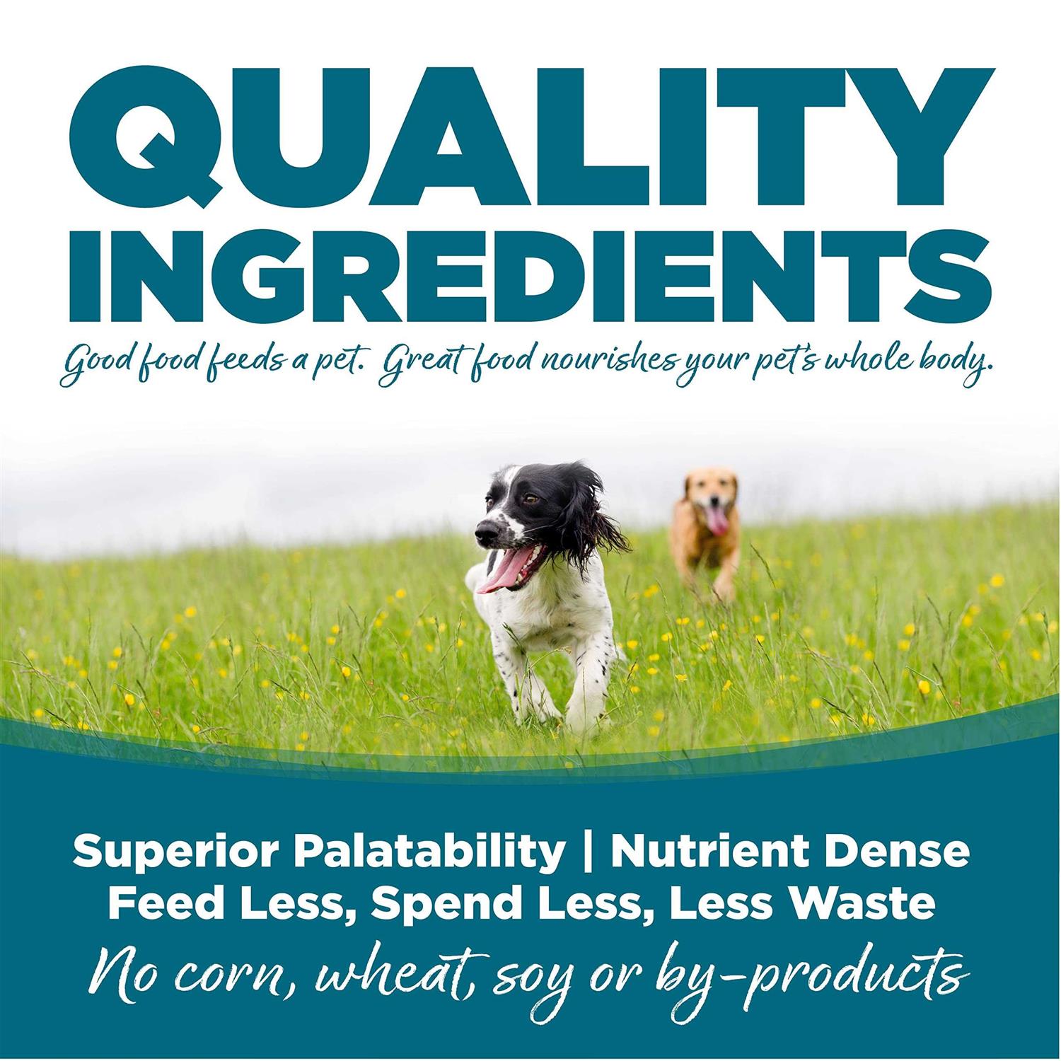 Adult Chicken Rice Dry Dog Food G365921