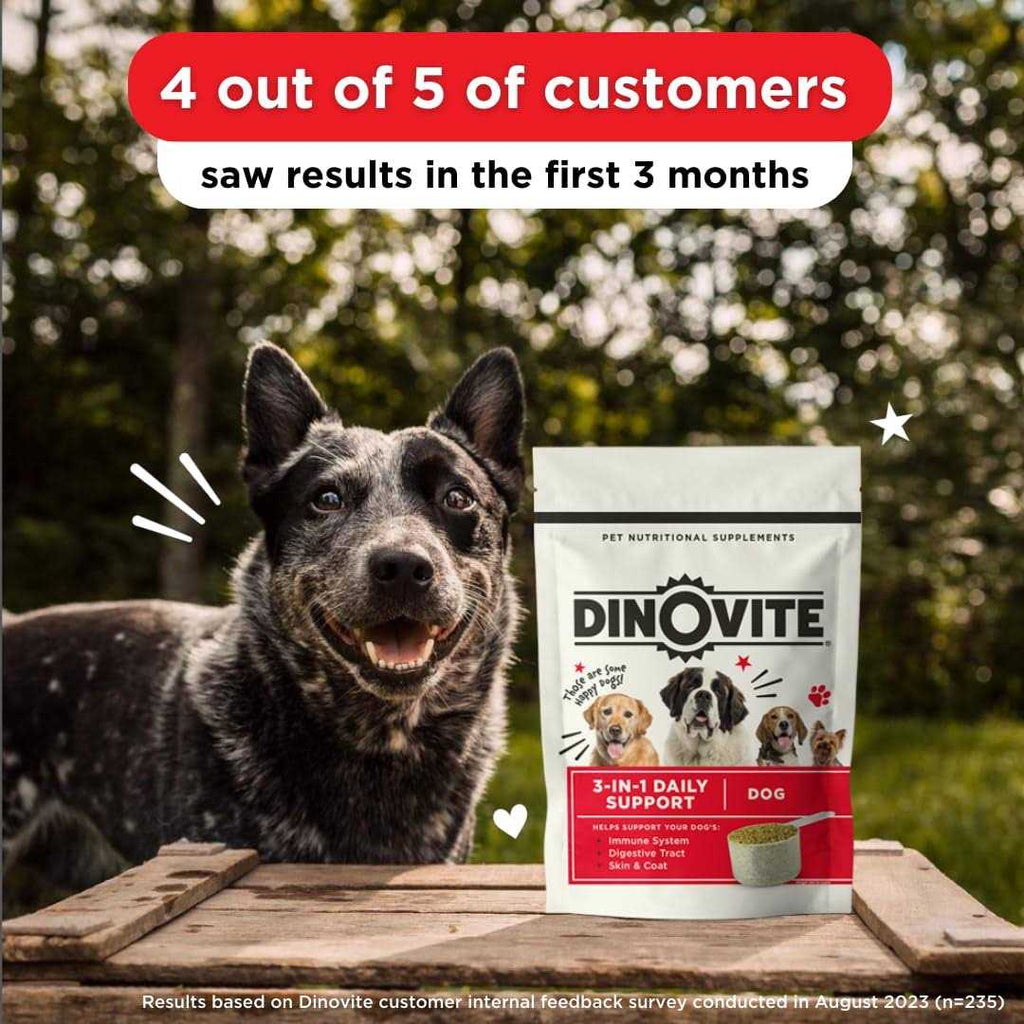 Probiotic Supplement for Dogs Omega 3 J28950