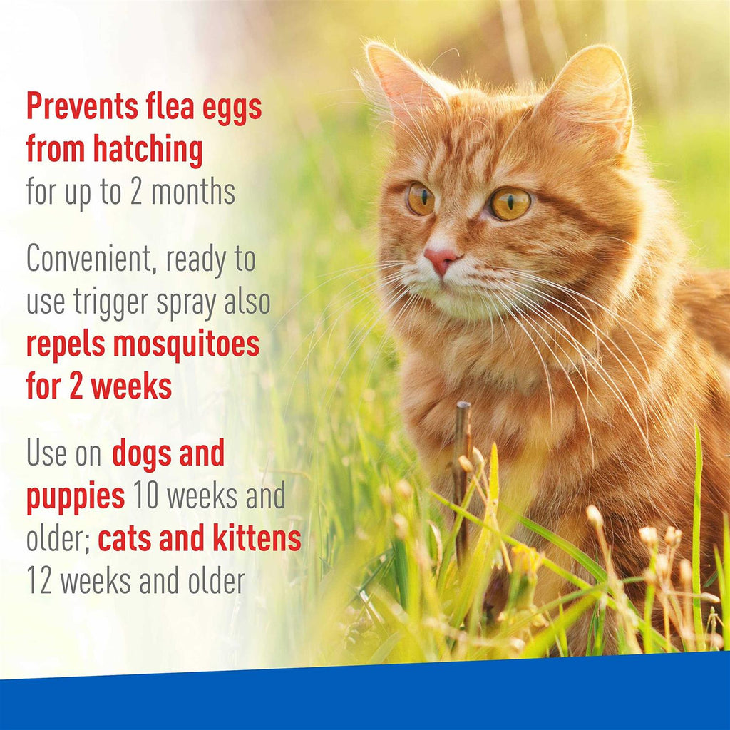 Flea Tick Spray S657948