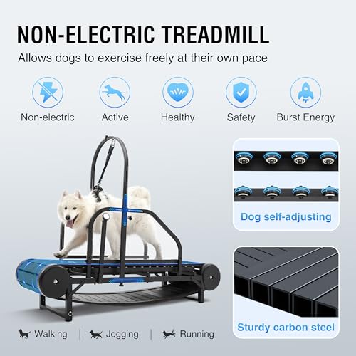 Adjustable Ramp Canine Running Slatmill Machine with Pedometer Y660