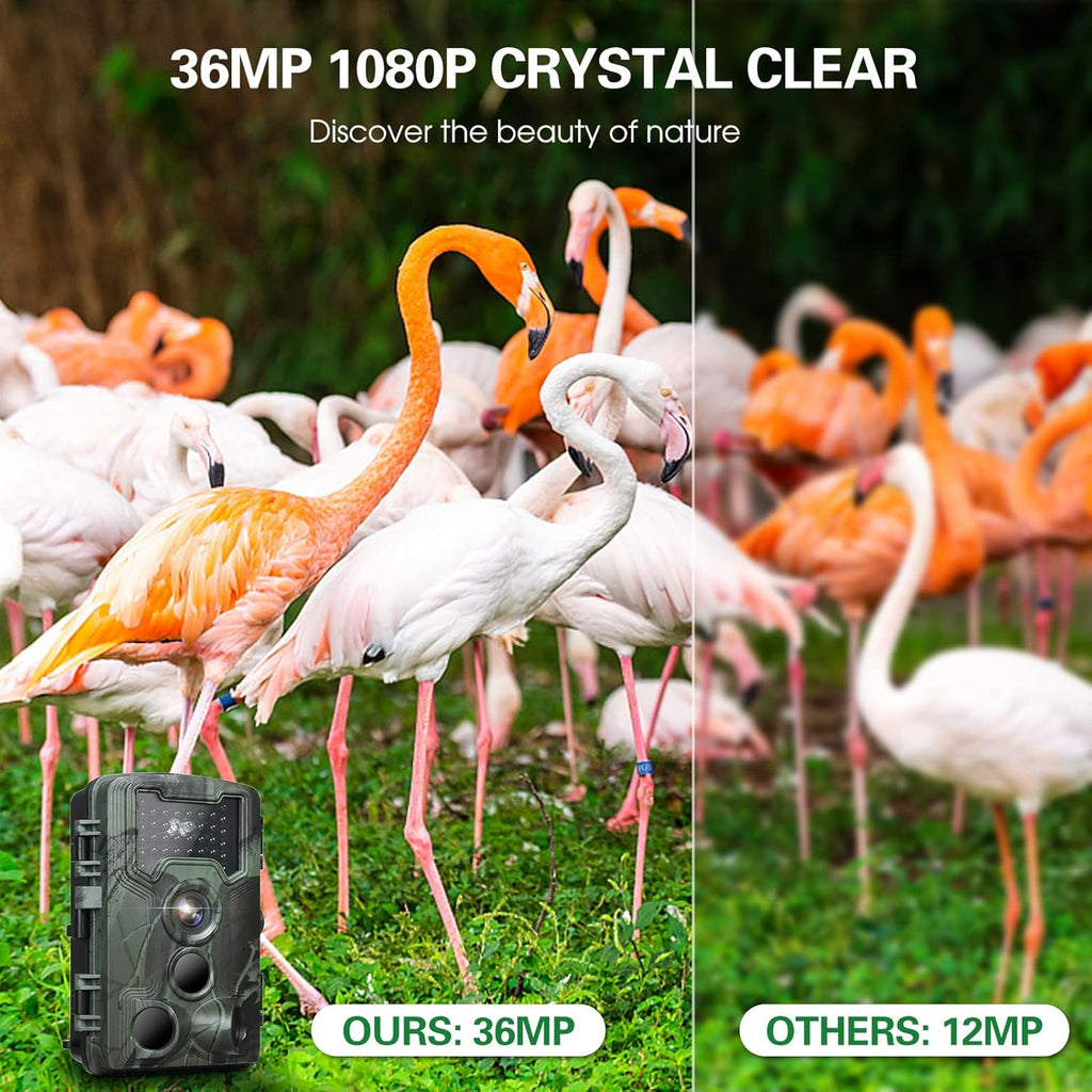 36MP 1080P Trail Camera with Night Vision IP66 Waterproof Motion Activated Infrared Hunting Camera T7885