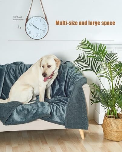 Double-Sided Fluffy Soft Waterproof Fleece Blanket C87098