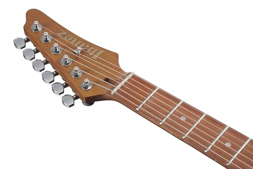 Transparent Black Sunburst 6-String Right-Handed Electric Guitar Z5535