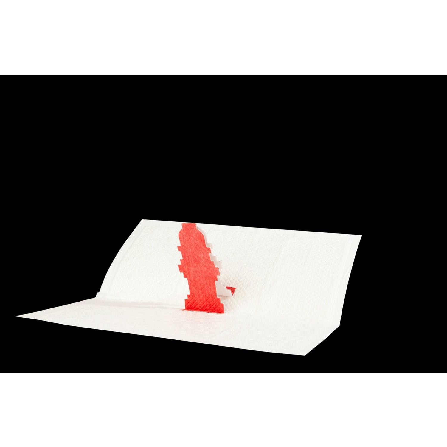 Pop-Up Pee Pad for Dogs P149
