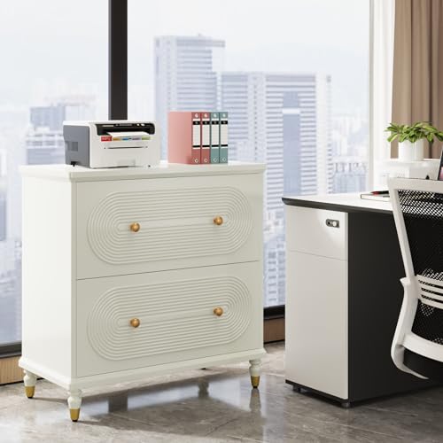 Gray 2-Drawer Wooden File Cabinet O546