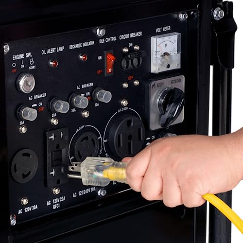 12,000-Watt Dual Fuel Portable Generator R2725