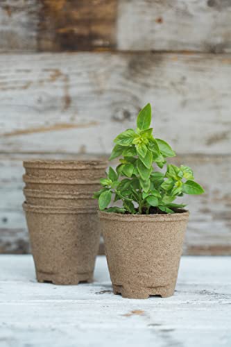 Organic Herb Garden Kit Indoor Starter Kit W85568