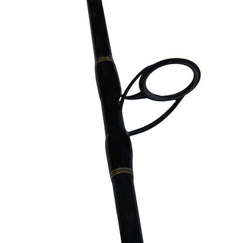 Saltwater Spinning Combo Q5862