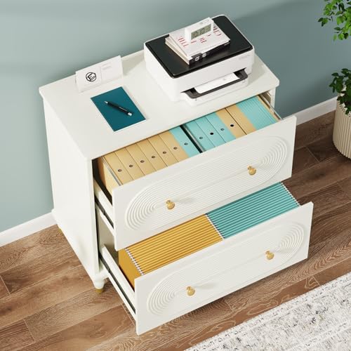 Gray 2-Drawer Wooden File Cabinet O546