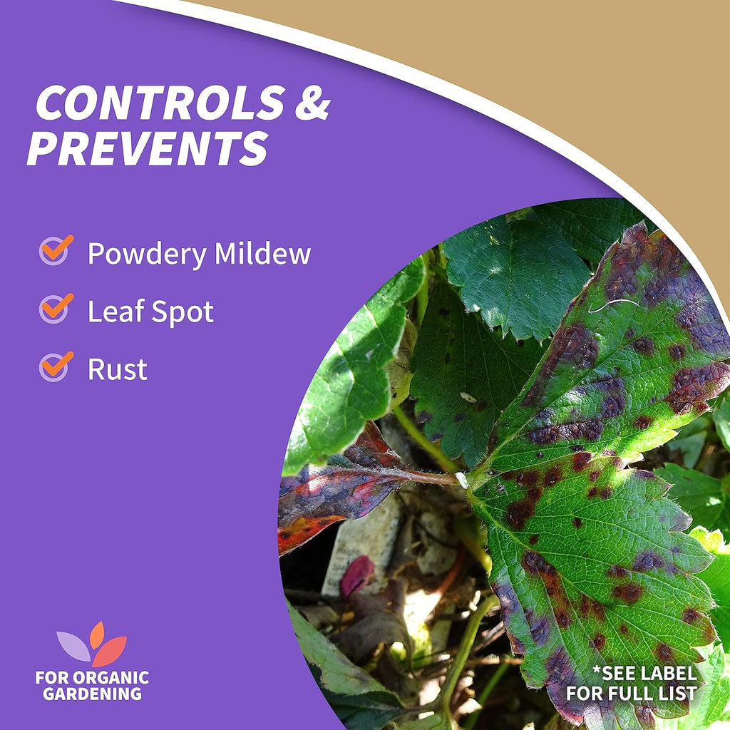 4 lb. Sulfur Plant Fungicide I718