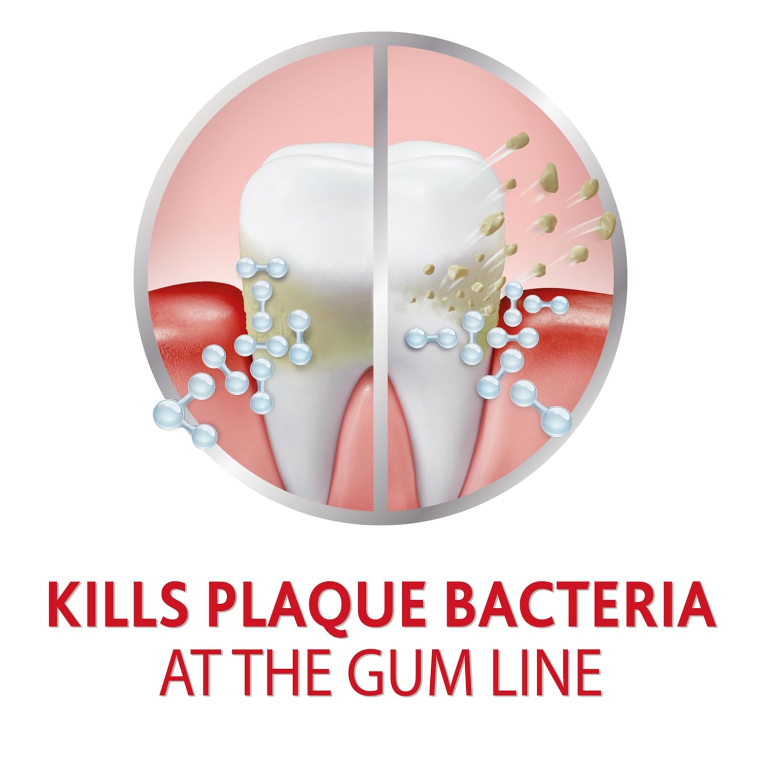 Fresh Mint Gum Toothpaste - 3.4 Ounces T5249