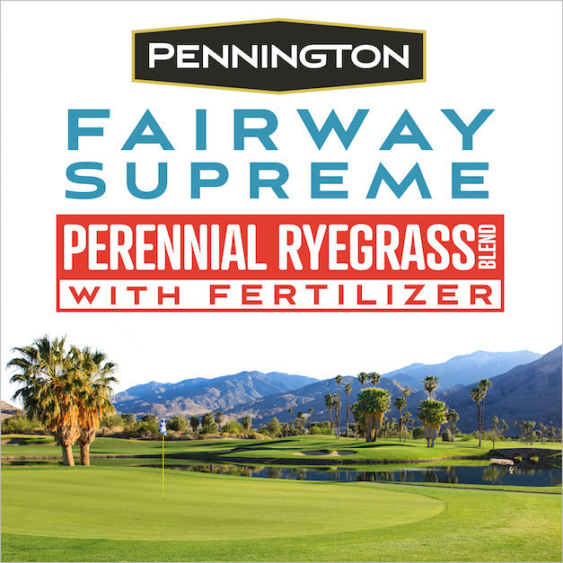 Perennial Ryegrass Grass Seed Blend 50 lb X6513