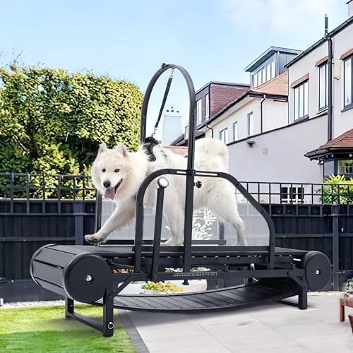 Adjustable Ramp Canine Running Slatmill Machine with Pedometer Y660