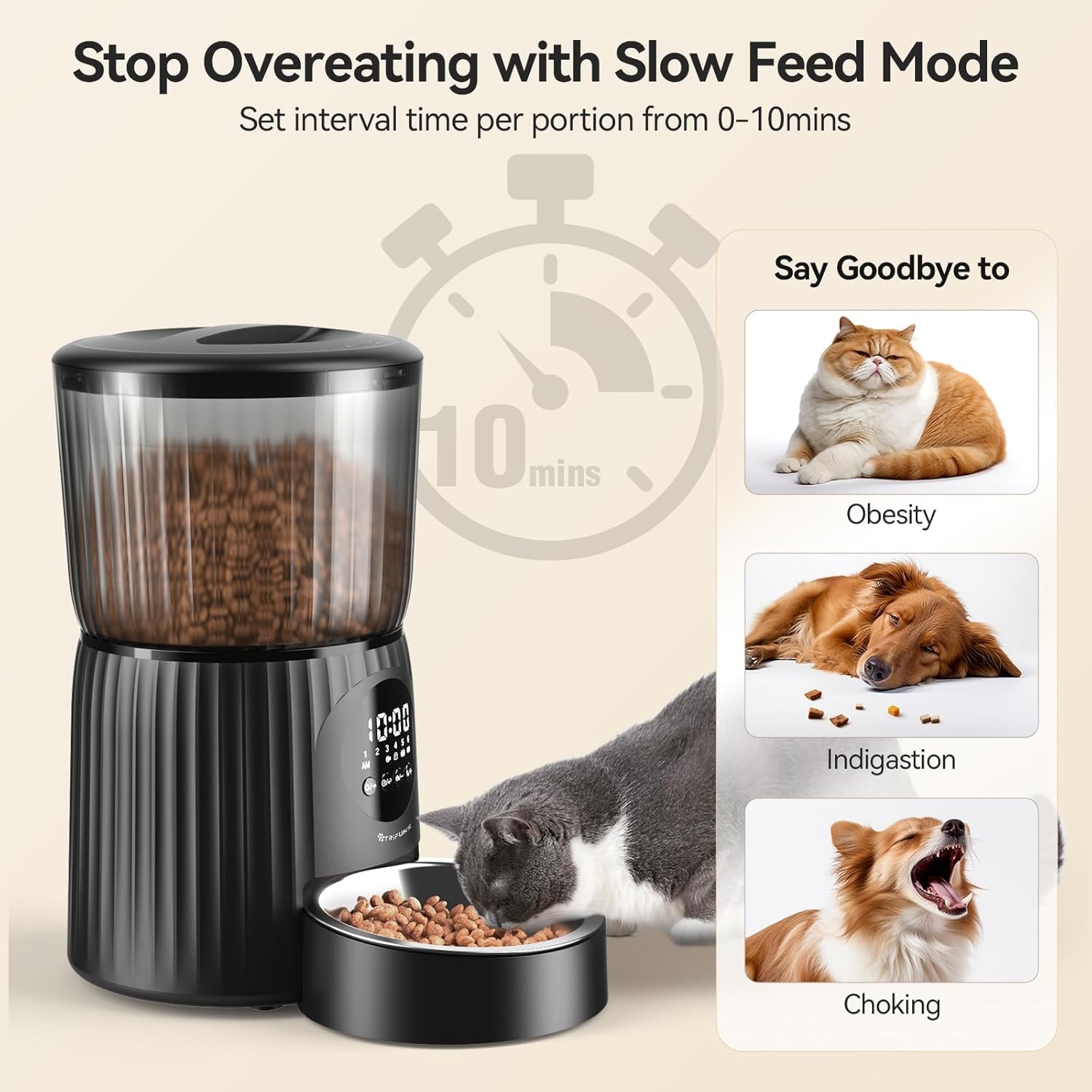 4L Automatic Cat Feeder with Dual Power Supply Q51586