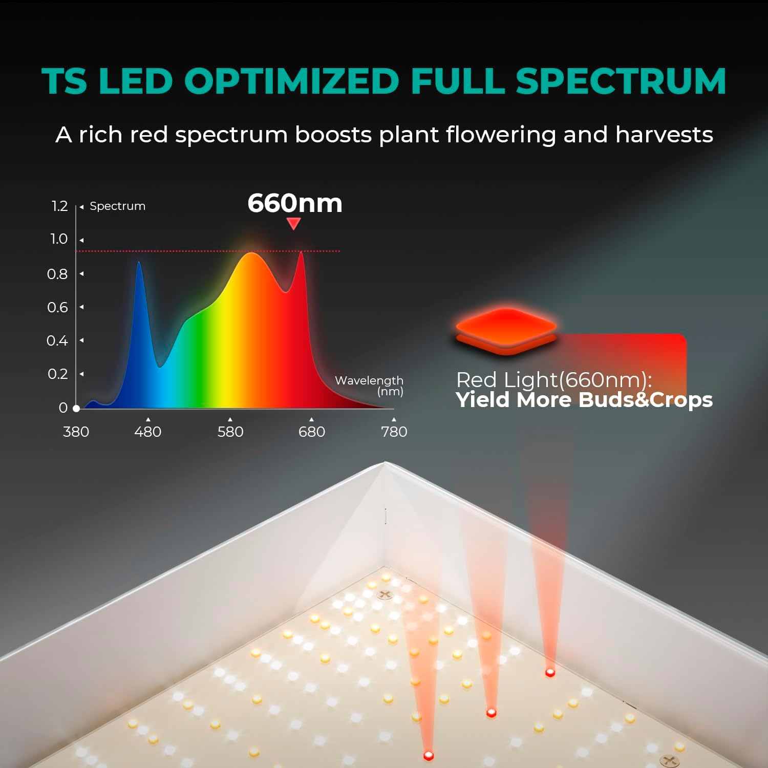 300Watt LED Grow Light G152991