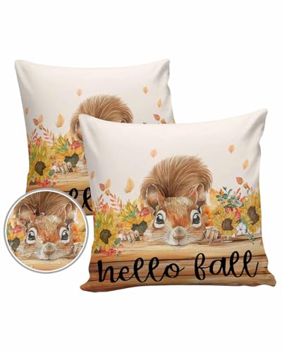 Set of 2 Waterproof 16"x16" Throw Pillowcase J651