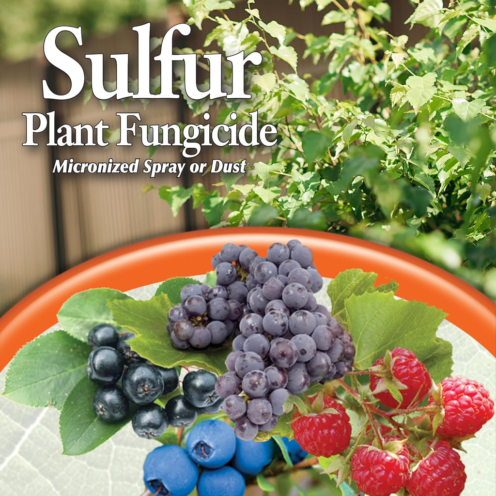 4 lb. Sulfur Plant Fungicide I718