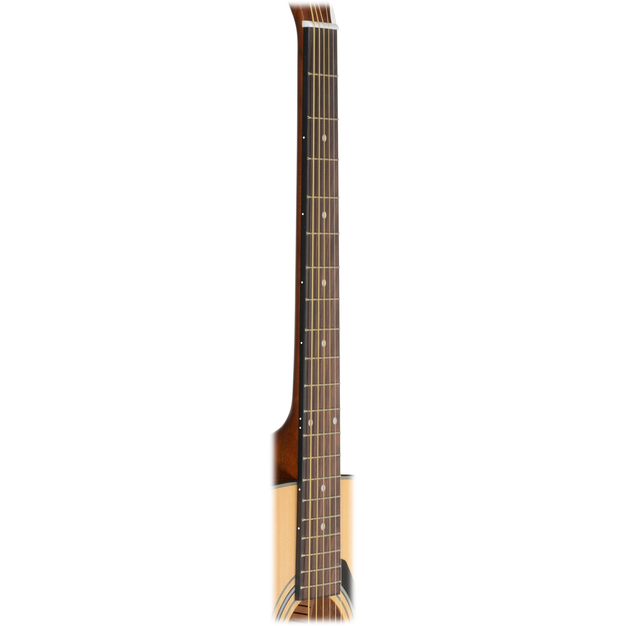 Acoustic Guitar D296