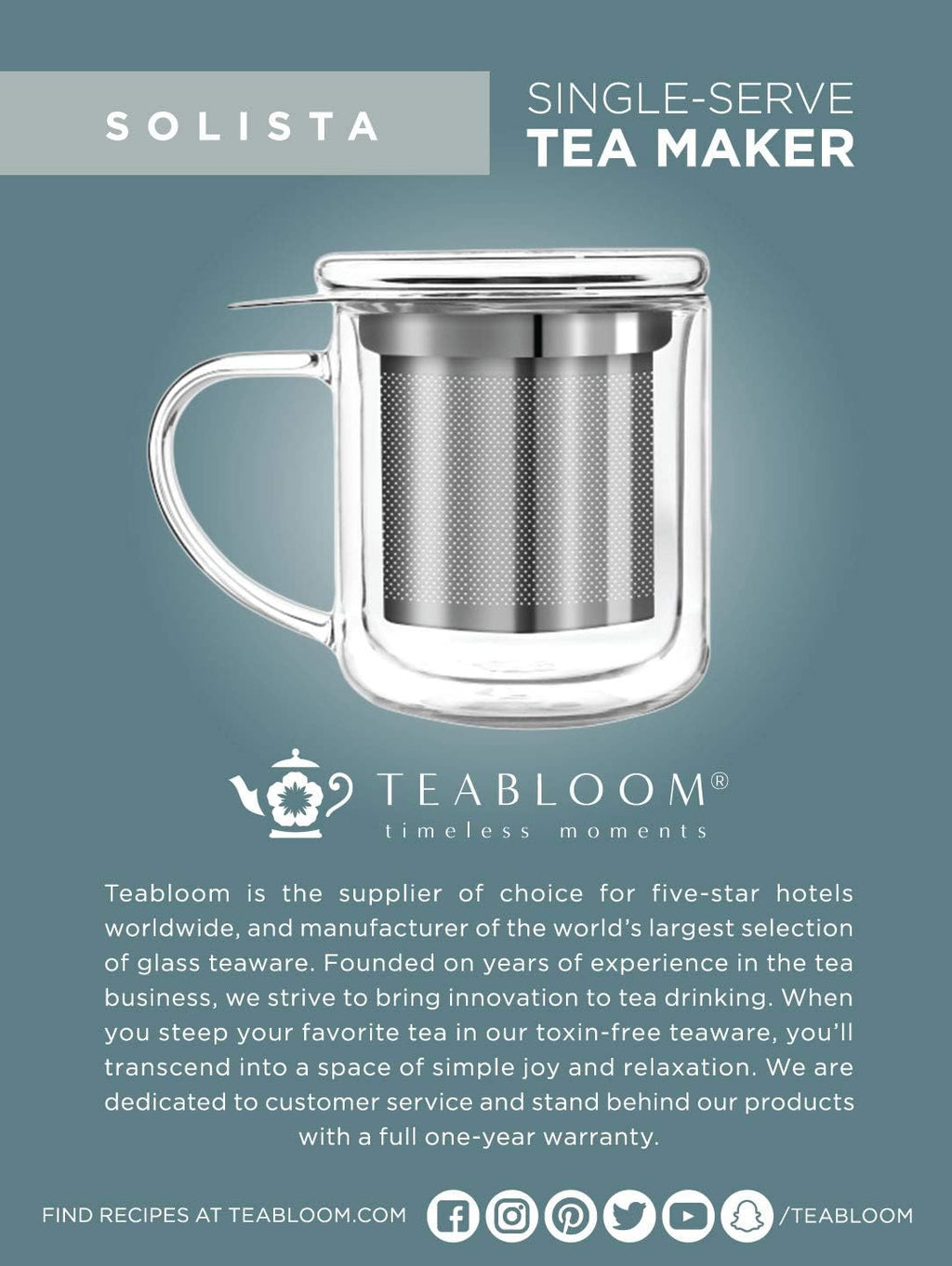 Insulated Borosilicate Glass Tea Infuser Mug (8 Oz) O203615