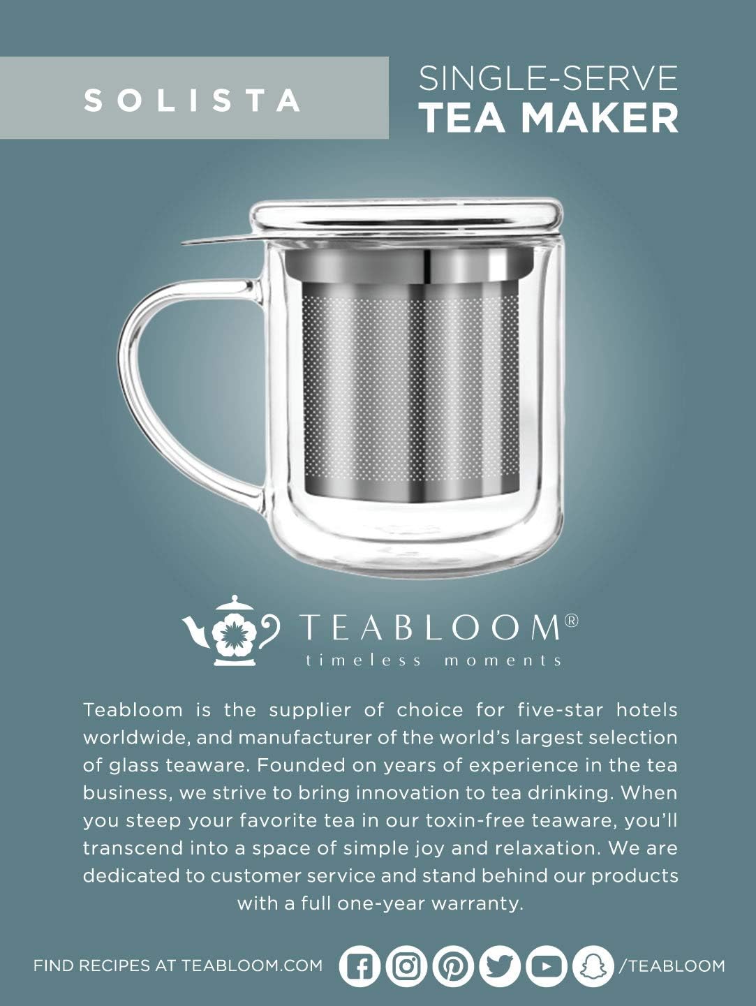 Insulated Borosilicate Glass Tea Infuser Mug (8 Oz) O203615