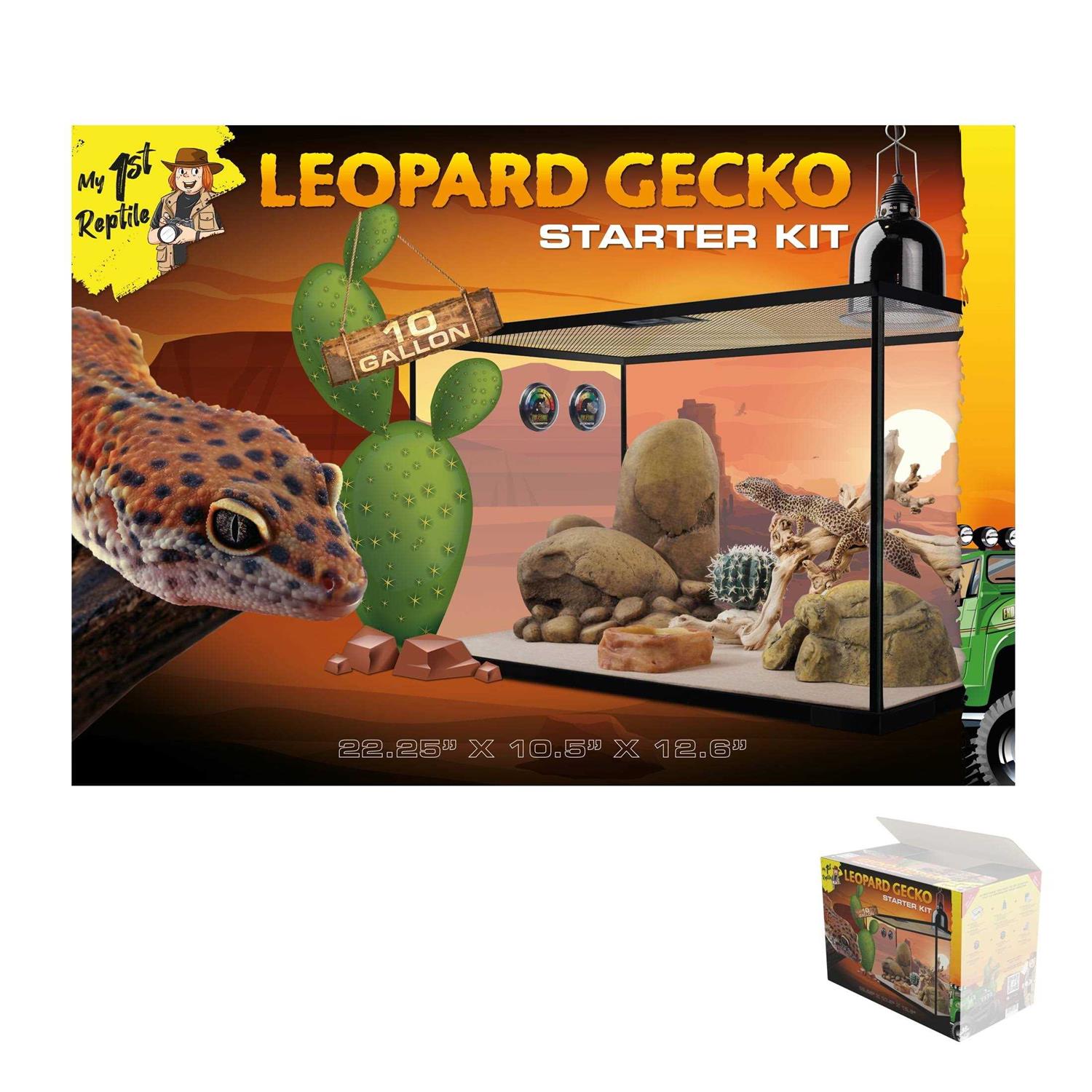 Leopard Gecko Reptile Starter Kit W9118