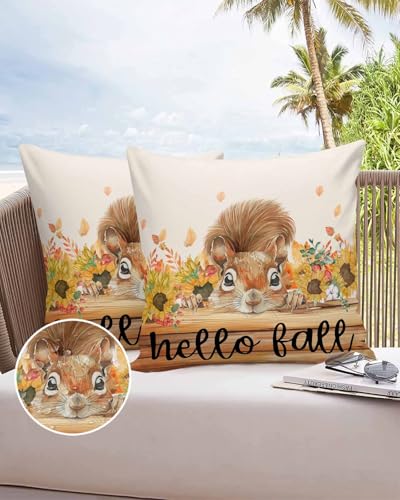 Set of 2 Waterproof 16"x16" Throw Pillowcase J651