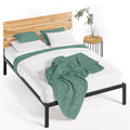 Queen Metal Platform Bed Frame A14268