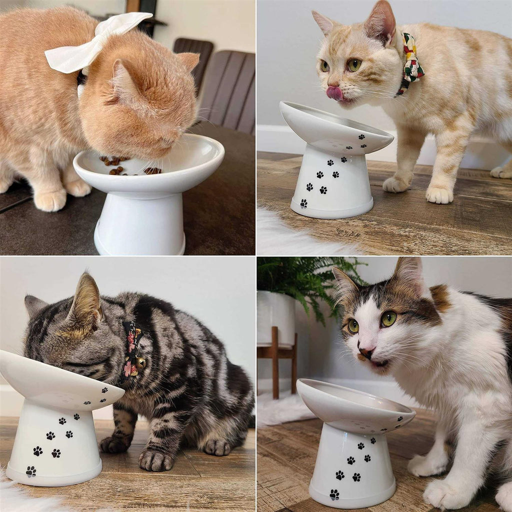 Tilted Raised Cat Food Bowl S6776